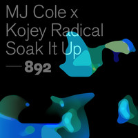 MJ Cole and Kojey Radical - Soak It Up