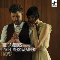 The Bamboos - I Never