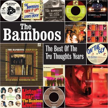 The Bamboos - The Best of the Tru Thoughts Years