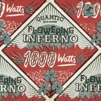 Quantic Presenta Flowering Inferno - 1000 Watts