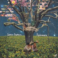 Space Captain - Sycamore