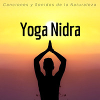 Yoga en la Cocina - Yoga Nidra - Canciones y Sonidos de la Naturaleza para Dormir y Soñar
