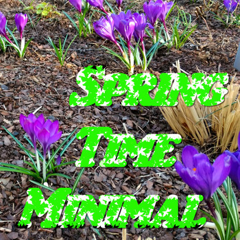 Various Artists - Spring Time Minimal
