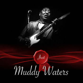 Muddy Waters - Just - Muddy Waters