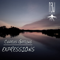 Charles Gatling - Expressions