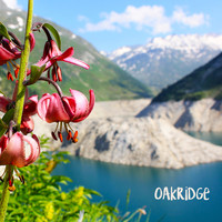 Ocb Relax - Oakridge