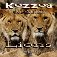 Kozzoa - Lions