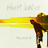 Robert Hunter - Don't Wanna Lose You