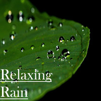 Rain Sounds, Sleep Music System, Nature Sounds Nature Music - 21 Blissful Rain Tracks -  Sleep, Study, Meditate or Practice Yoga