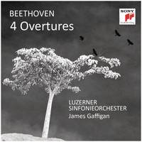 Luzerner Sinfonieorchester - Beethoven: 4 Overtures