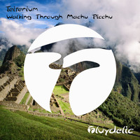 Teiterium - Walking Through Machu Picchu