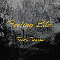 Teddy Benson - Feeling Like (Explicit)