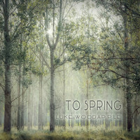 Luke Woodapple - To Spring