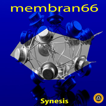membran 66 - Synesis