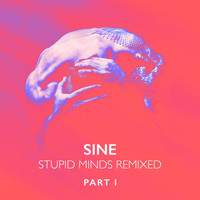 Sine - Stupid Minds (Sine's Soulcraft Remix)