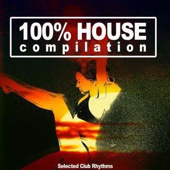 Various Artists - 100% House Compilation