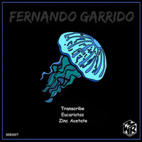 Fernando Garrido - Transcribe
