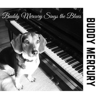 Buddy Mercury - Buddy Mercury Sings the Blues