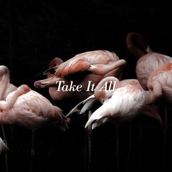 iceage - Take It All
