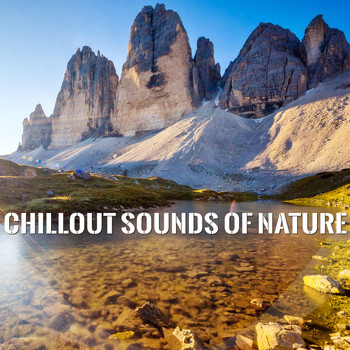 Various Artists - Chillout Sounds of Nature