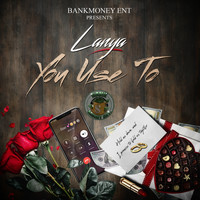 Lanya - Bankmoney Ent. Presents You Use To (Explicit)