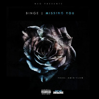 Binge - Missing You (Explicit)