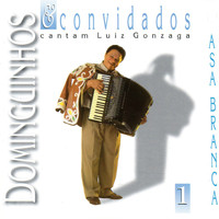 Dominguinhos - Dominguinhos e Convidados Cantam Luiz Gonzaga, Vol. 1