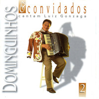 Dominguinhos - Dominguinhos e Convidados Cantam Luiz Gonzaga, Vol. 2
