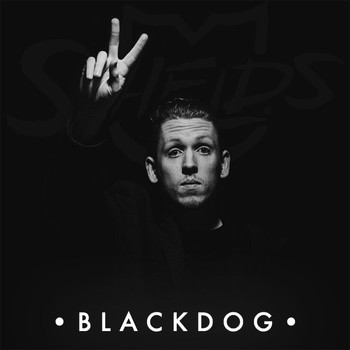 Shields - Black Dog