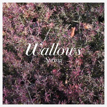 Wallows - These Days (Explicit)