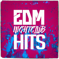 DJ DanceHits - EDM Nightclub Hits