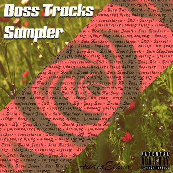 Various Artists - Boss Tracks Sampler (Explicit)