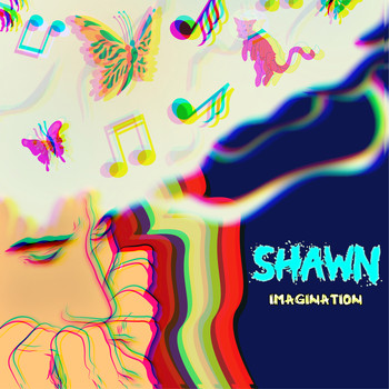 Shawn - Imagination