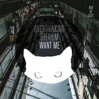 OverThinking - Want Me