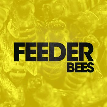 Feeder - Bees (Alt. Mix)