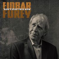 Finbar Furey - Don't Stop This Now