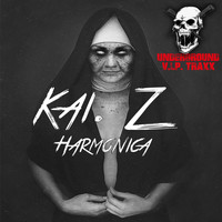 Kai. Z - Harmonica