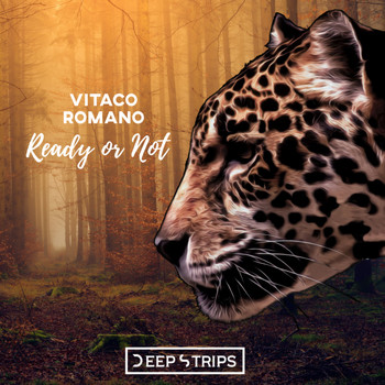 Vitaco, Romano - Ready Or Not