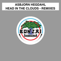 Asbjorn Hegdahl - Head In The Clouds Remixes