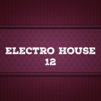 Various Artists - Electro House, Vol. 12