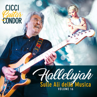 Cicci Guitar Condor - Sulle ali della musica, Vol. 16: Hallelujah