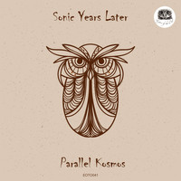 Sonic Years Later - Parallel Kosmos