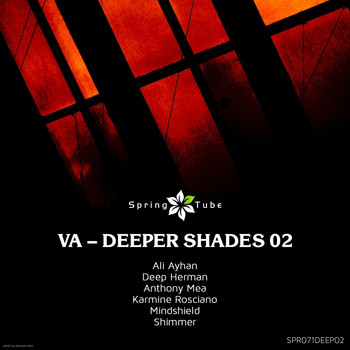 Various Artists - Deeper Shades 02