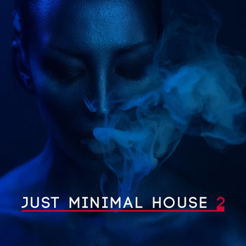 Various Artists - Just Minimal House, Vol. 2 (Explicit)