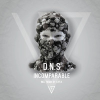 D.N.S - Incomparable