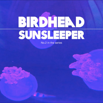 Birdhead - Sunsleeper