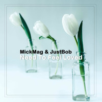 MickMag & JustBob - Need to Feel Loved