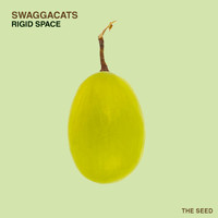SwaggaCats - Rigid Space