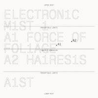 A1ST - Electronic Mist 1