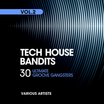 Various Artists - Tech House Bandits, Vol. 2 (30 Ultimate Groove Gangsters)
